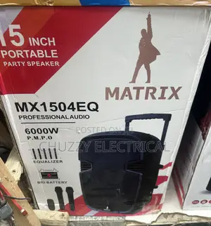 15" Pro Party Speaker