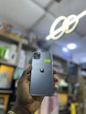Apple iPhone 11 Pro Max 256 GB Gray