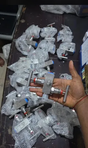 Manifold Valve