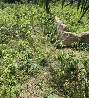 Land for Sell