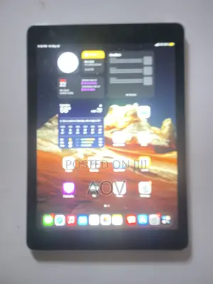 Apple iPad Air 2 64 GB Gray