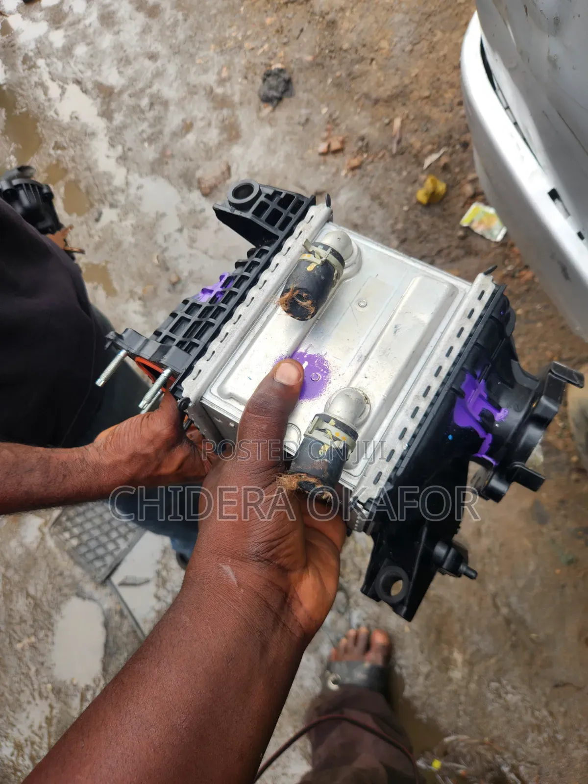 Engine Coolant Highlander 2025