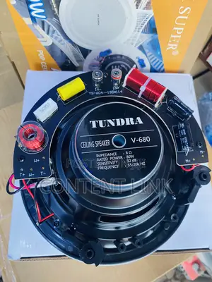 80watts Subwoofer Passive Ceiling/Pop Speaker