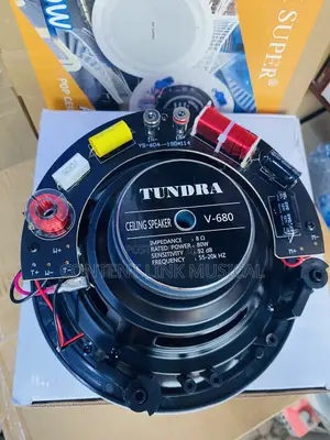 80watts Subwoofer Passive Ceiling/Pop Speaker