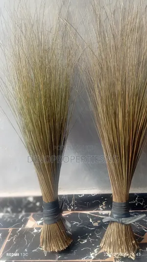 Brooms (Apc Campaign Local Brooms)