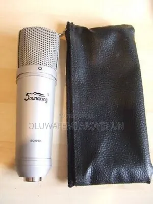 Soundking Studio Condenser Microphone