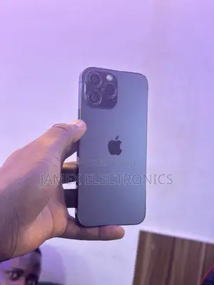 Apple iPhone 13 Pro Max 256 GB Gray