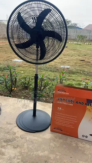 Electric Standing Fan
