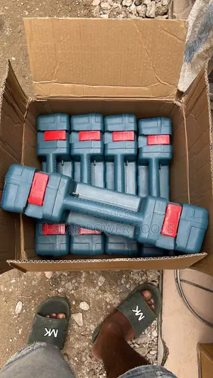 Bosch Rotary Hammer