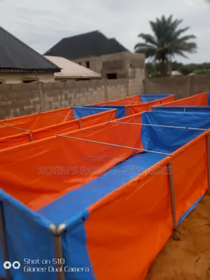 Quality Taupoling Fish Pond