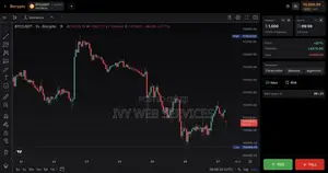Forex, Crypto & Binary Trading Website Development