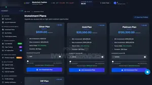 Forex, Crypto & Binary Trading Website Development
