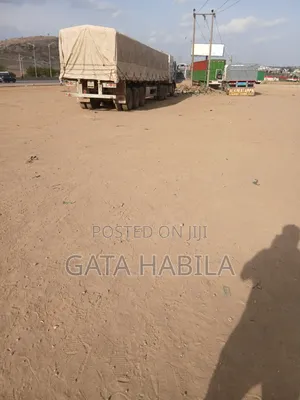 Major Distributor of Cement Both Dangote an Bua Cement
