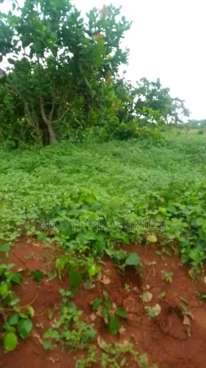Land for Sale at Idah