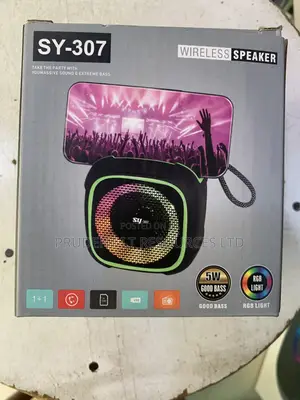 Sy-307 Wireless Speaker