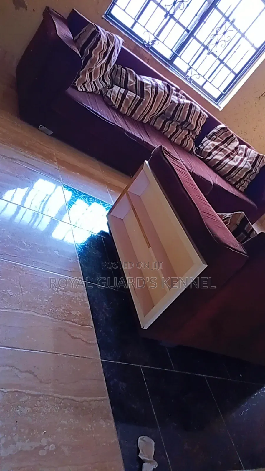 Sofa Chairs