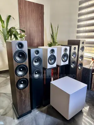 Luxury Hi-Fi Stereo Speaker
