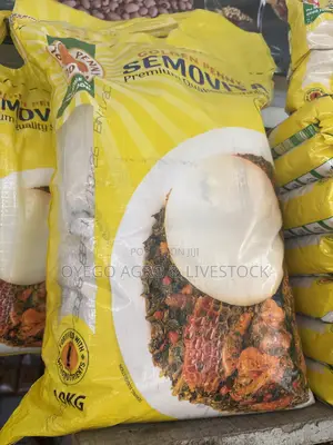 10kg Golden Penny Semovita