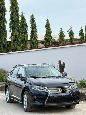 Lexus RX 2010 Blue