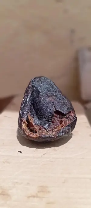Drycatfish