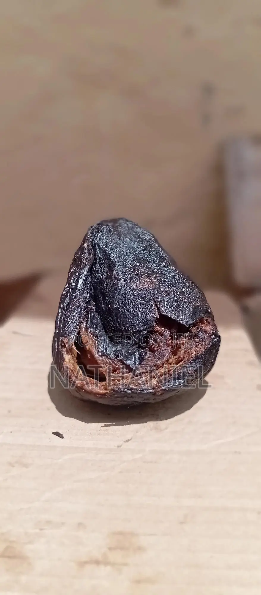 Drycatfish