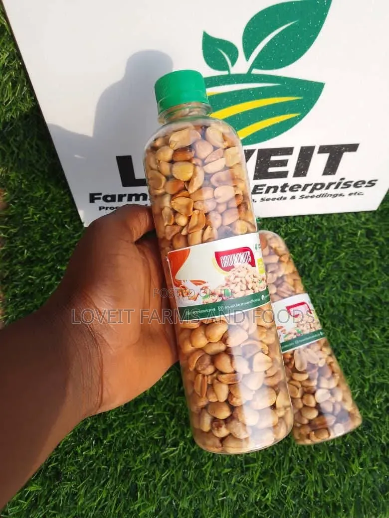 Groundnut (Roasted Crunchy Groundnut)