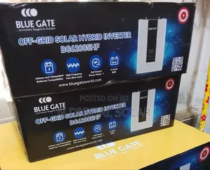 Blue Gate Off Grid Hybrid Solar Inverter 6.2kva/48v