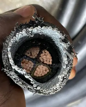4x50mm Nigerchin Electric Armoured C