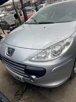 Peugeot 307 2018 Silver