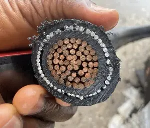 1x400mm Coleman Electric Armoured Cable