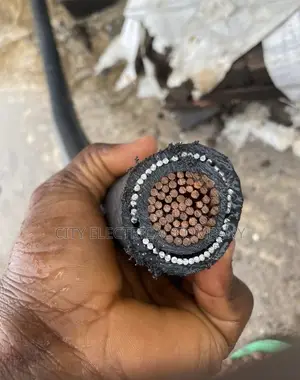 1x300mm Coleman Electric Armoured Cable
