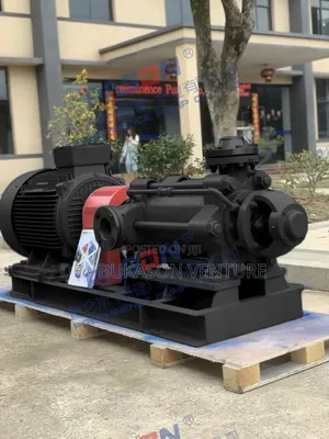 Brand New Original 40hp Pump