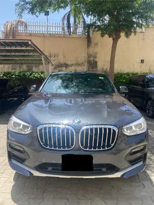 BMW X4 xDrive30i 2019 Gray