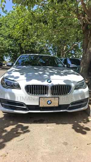 BMW 528i 2014 White