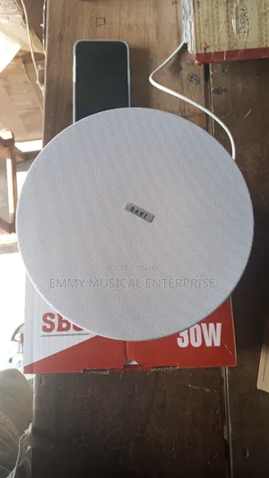 Passive Ceiling/Pop Speaker