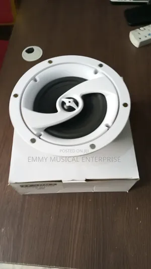 Passive Ceiling/Pop Speaker
