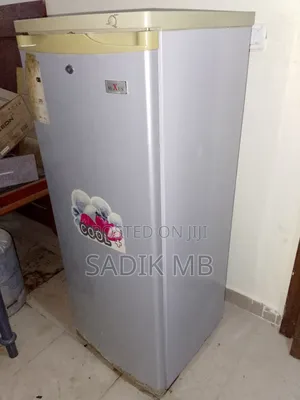 Used Nexus Standing Freezer for Ice Blocks and Other Frozen Products.