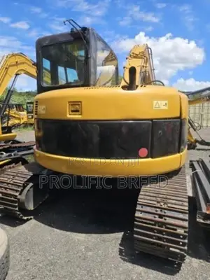 Caterpillar