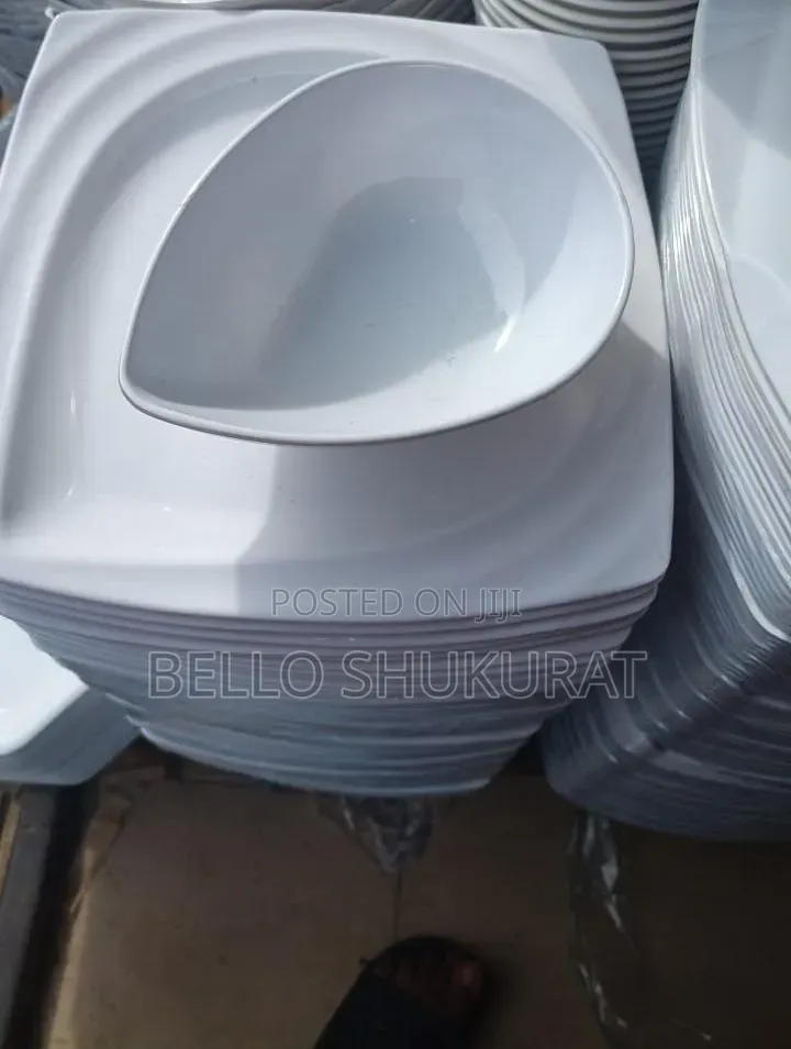 Unbreakable Plate Flat/Bowl