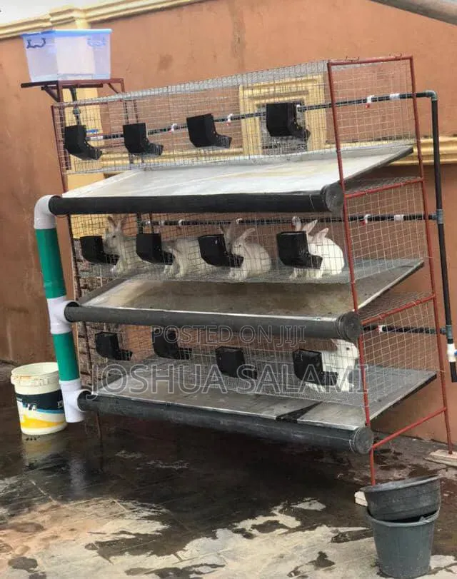 Rabbit Cage