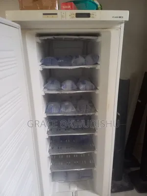 German Haier Ice Block Freezer