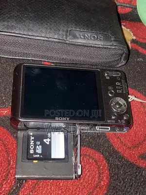 Sony Camera