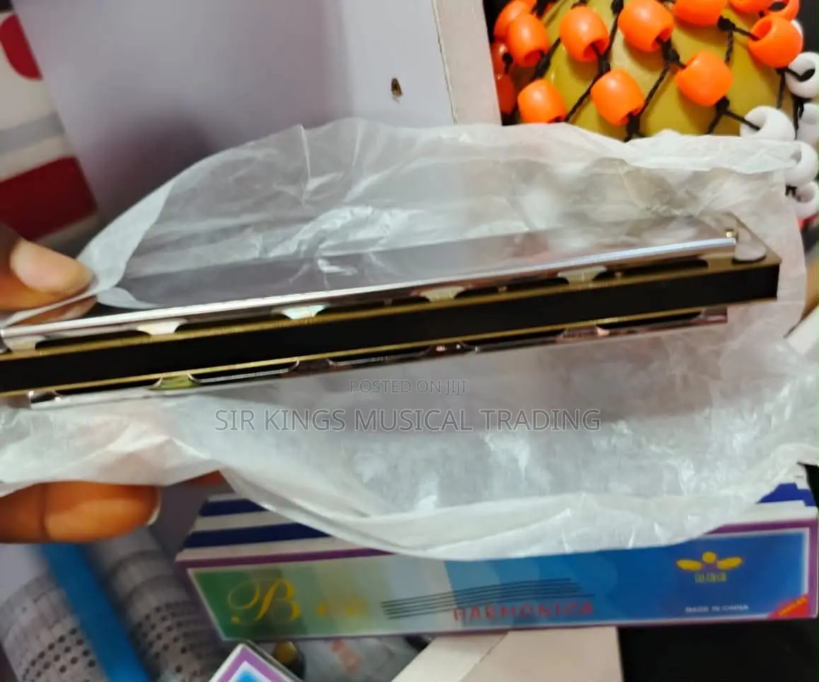 Bee Harmonica 24 Holes
