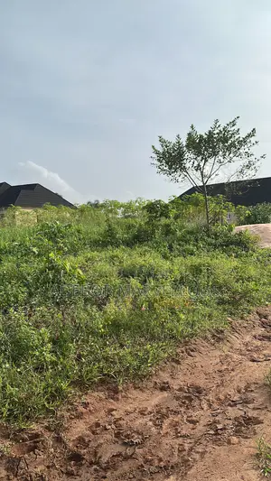463sqm Land for Sale at Uroho Community Benin City