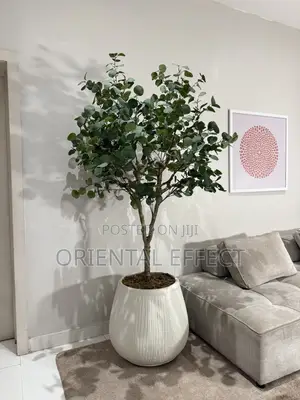 Twin Eucalyptus Tree in Nude Rough Big Merlot Pot – Interior Styling