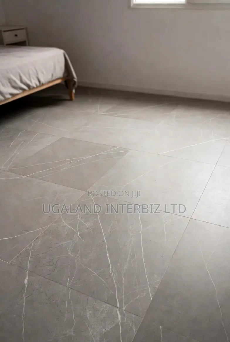 Silver Veil Matt Porcelain Tiles (60x60)
