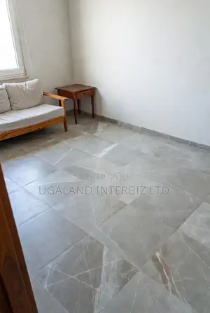 Silver Veil Matt Porcelain Tiles (60x60)