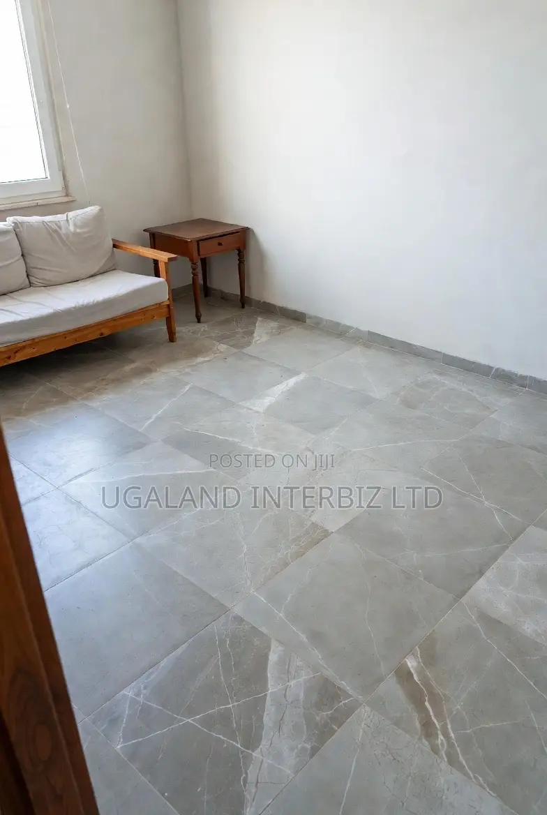 Silver Veil Matt Porcelain Tiles (60x60)