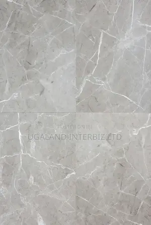 Silver Veil Matt Porcelain Tiles (60x60)