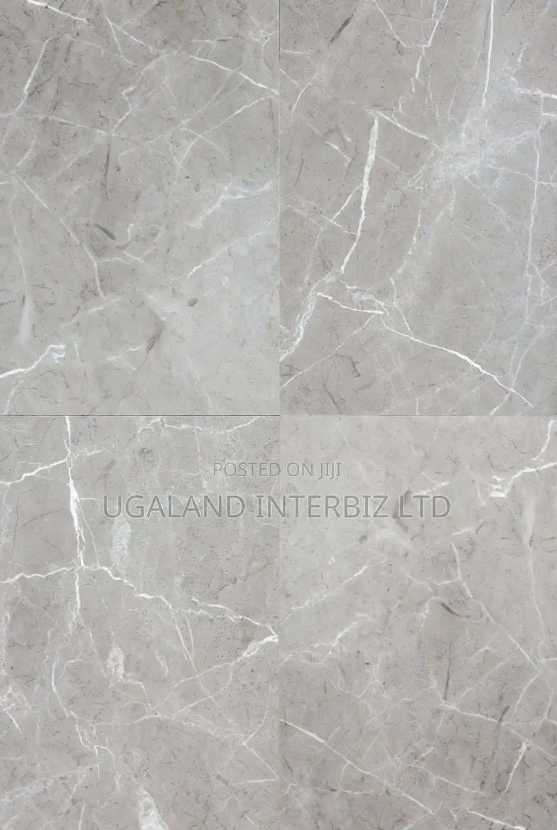Silver Veil Matt Porcelain Tiles (60x60)
